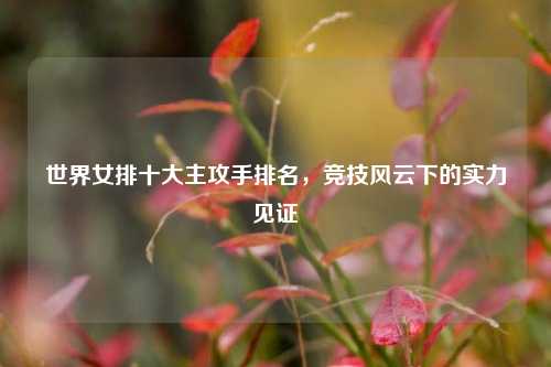 世界女排十大主攻手排名，竞技风云下的实力见证