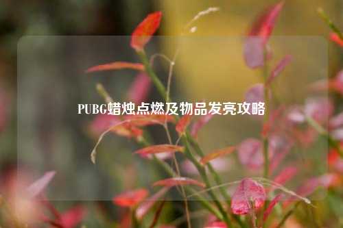 PUBG蜡烛点燃及物品发亮攻略