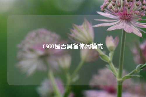CSGO是否具备休闲模式