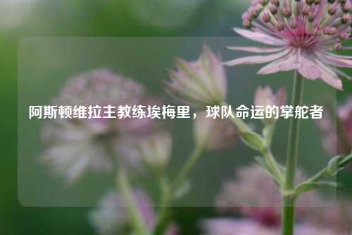 阿斯顿维拉主教练埃梅里，球队命运的掌舵者