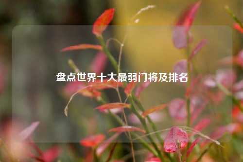 盘点世界十大最弱门将及排名