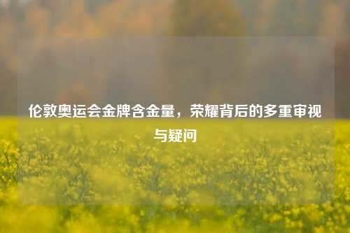 伦敦奥运会金牌含金量，荣耀背后的多重审视与疑问