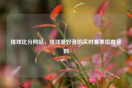 排球比分网站，排球爱好者的实时赛事指南官网