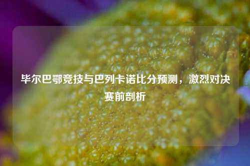 毕尔巴鄂竞技与巴列卡诺比分预测，激烈对决赛前剖析