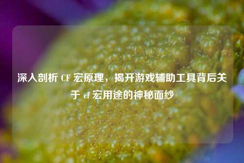 深入剖析 CF 宏原理，揭开游戏辅助工具背后关于 cf 宏用途的神秘面纱