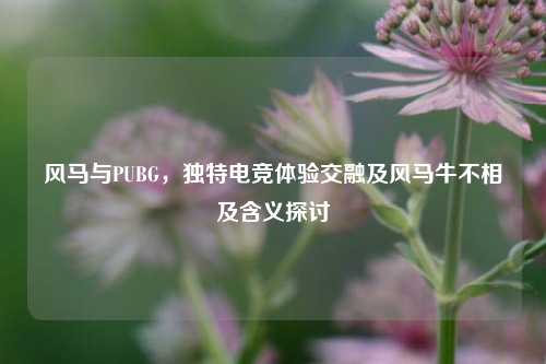 风马与PUBG，独特电竞体验交融及风马牛不相及含义探讨