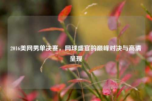 2016美网男单决赛，网球盛宴的巅峰对决与高清呈现