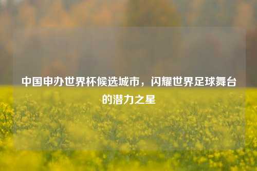 中国申办世界杯候选城市，闪耀世界足球舞台的潜力之星