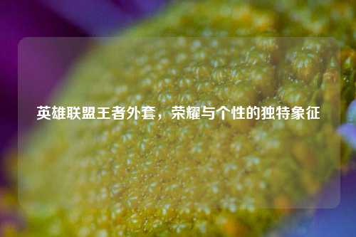 英雄联盟王者外套，荣耀与个性的独特象征
