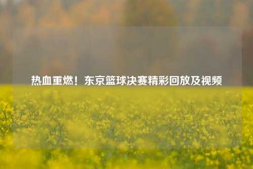 热血重燃！东京篮球决赛精彩回放及视频