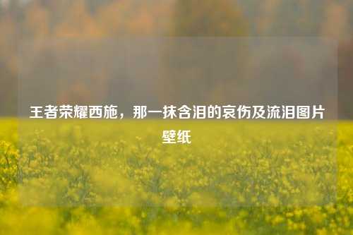 王者荣耀西施，那一抹含泪的哀伤及流泪图片壁纸