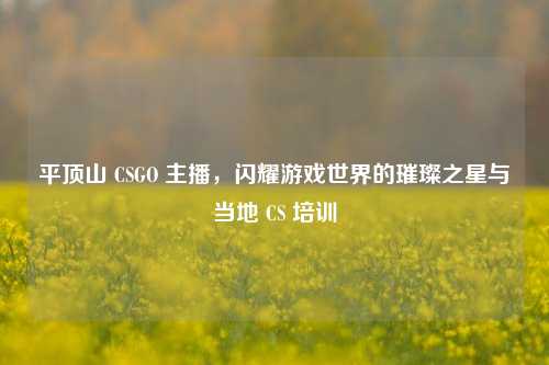 平顶山 CSGO 主播，闪耀游戏世界的璀璨之星与当地 CS 培训