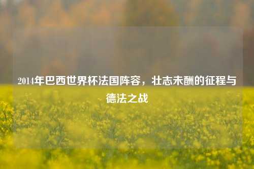 2014年巴西世界杯法国阵容，壮志未酬的征程与德法之战