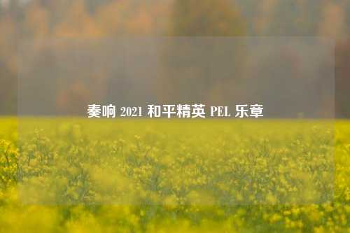 奏响 2021 和平精英 PEL 乐章