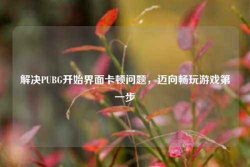 解决PUBG开始界面卡顿问题，迈向畅玩游戏第一步